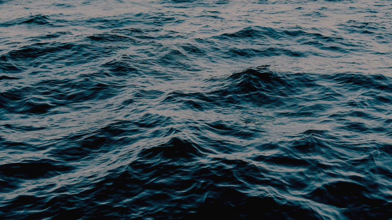 Sharkfranchisebanner